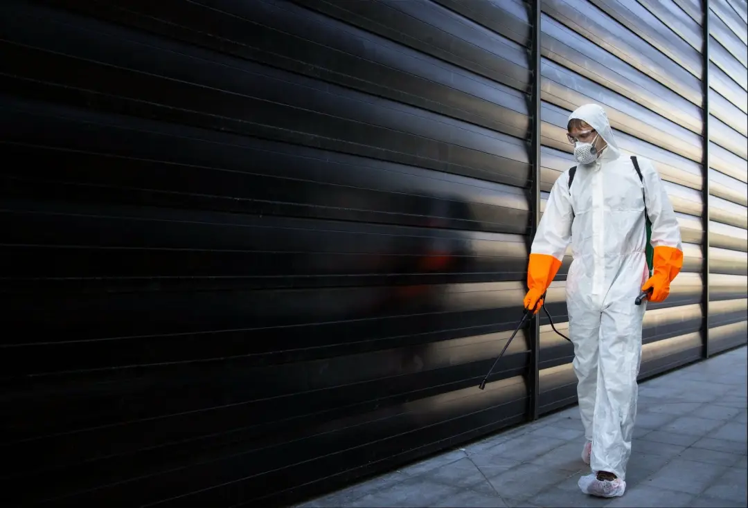 Pest control services in Hampshire